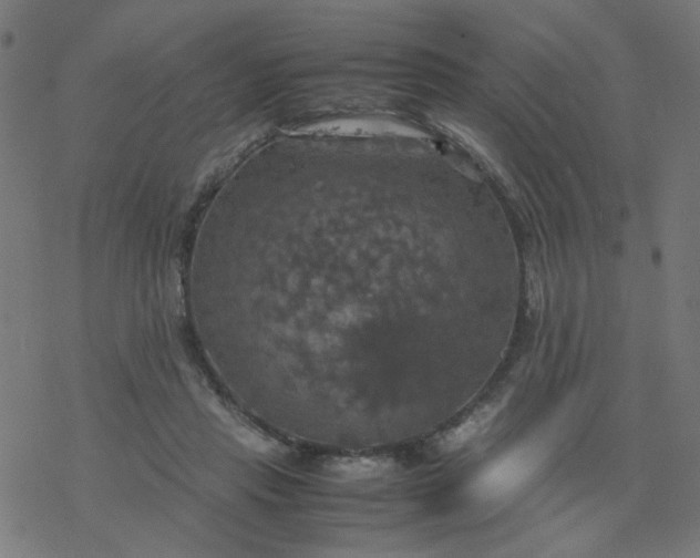 X0000077360453200611031850