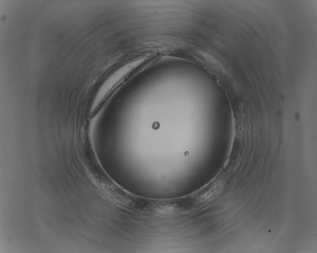 X0000077360456200611031850