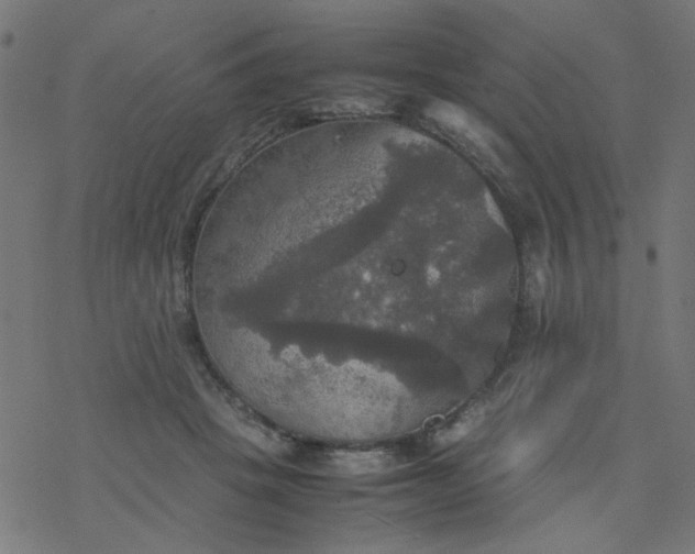 X0000077360457200611031850