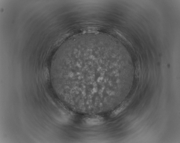 X0000077360459200611031850