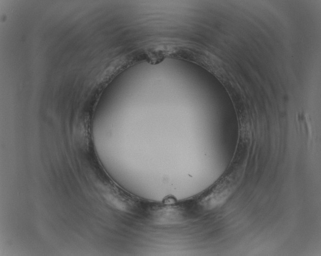 X0000077360460200611031850