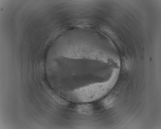 X0000077360461200611031850