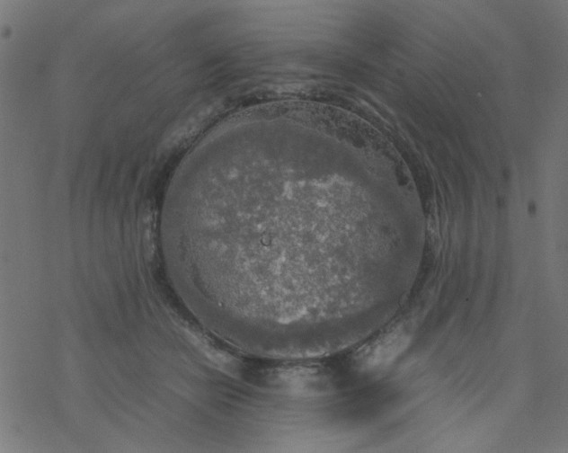 X0000077360462200611031850