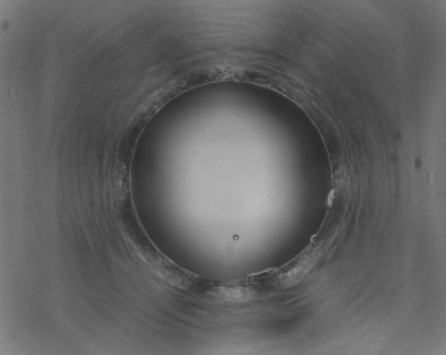 X0000077360464200611031850