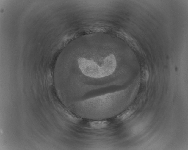 X0000077360465200611031850