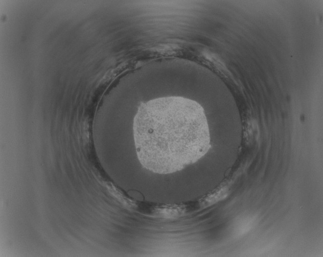 X0000077360466200611031850