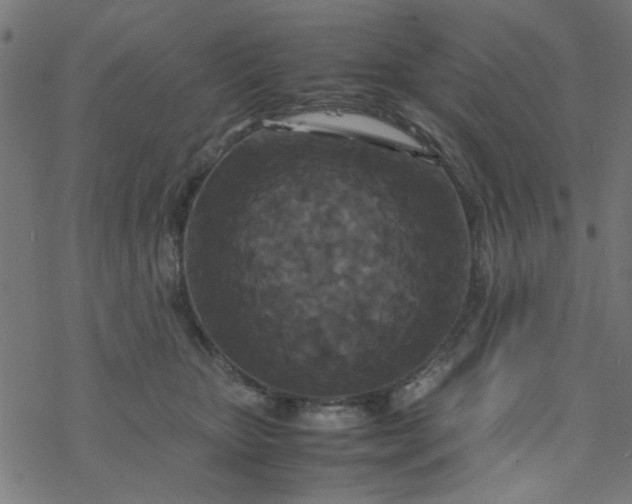 X0000077360467200611031850