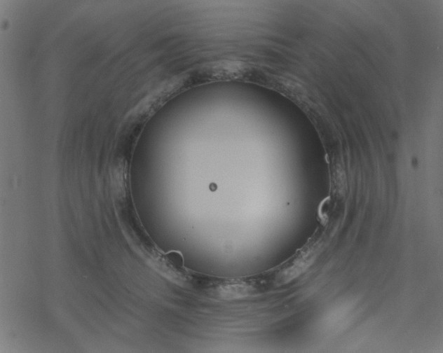 X0000077360468200611031850