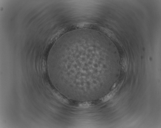 X0000077360470200611031851