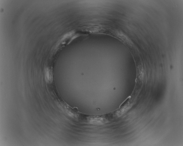 X0000077360471200611031851