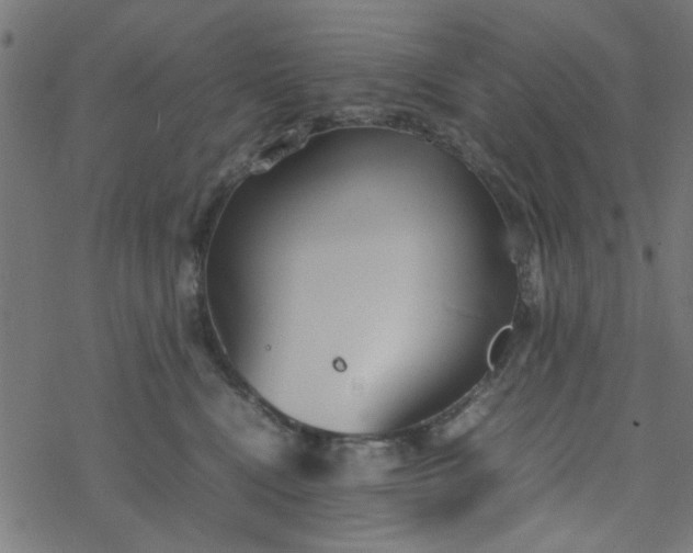 X0000077360472200611031851