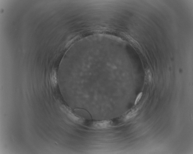 X0000077360479200611031851