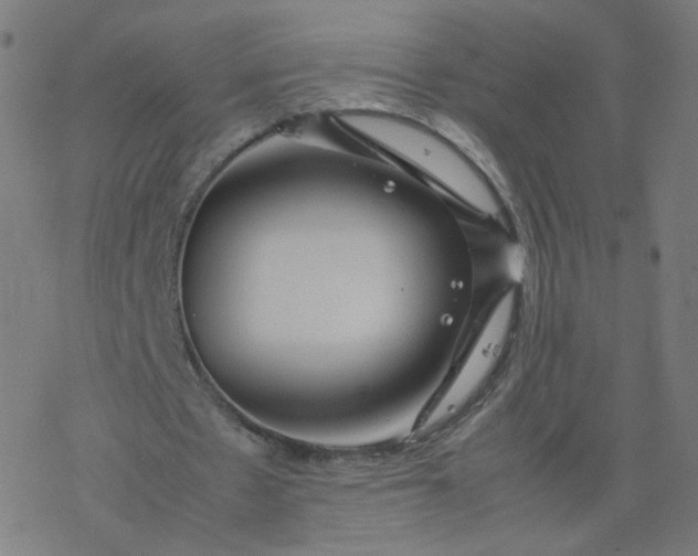 X0000077360481200611031850