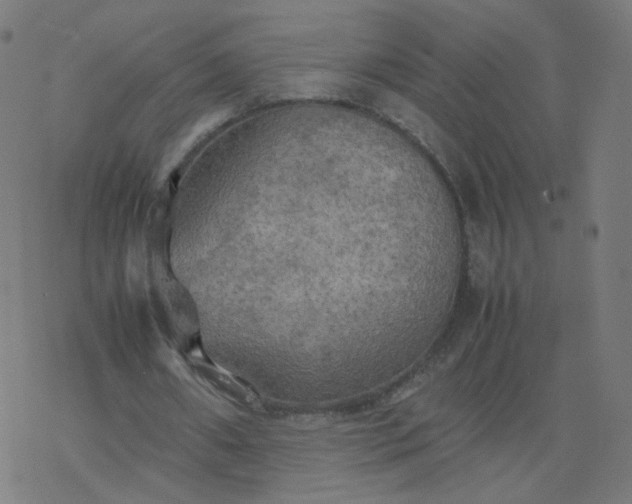 X0000077360482200611031850