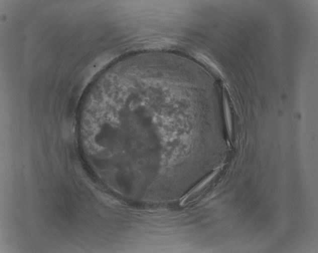 X0000077360483200611031850