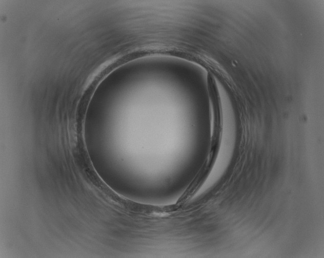 X0000077360484200611031850