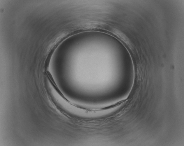 X0000077360485200611031850