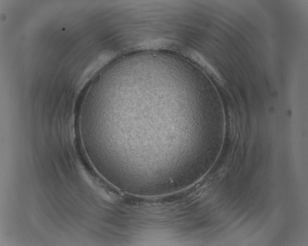 X0000077360486200611031850