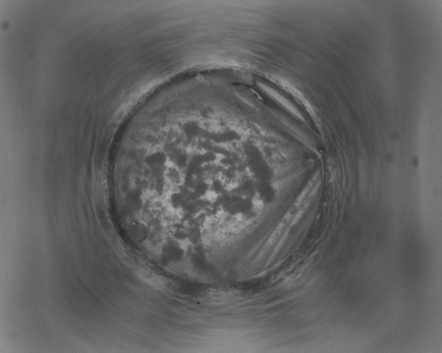 X0000077360487200611031850