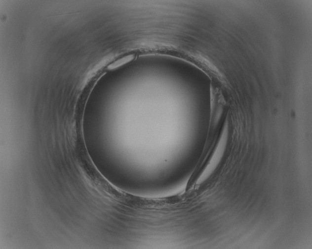 X0000077360488200611031850