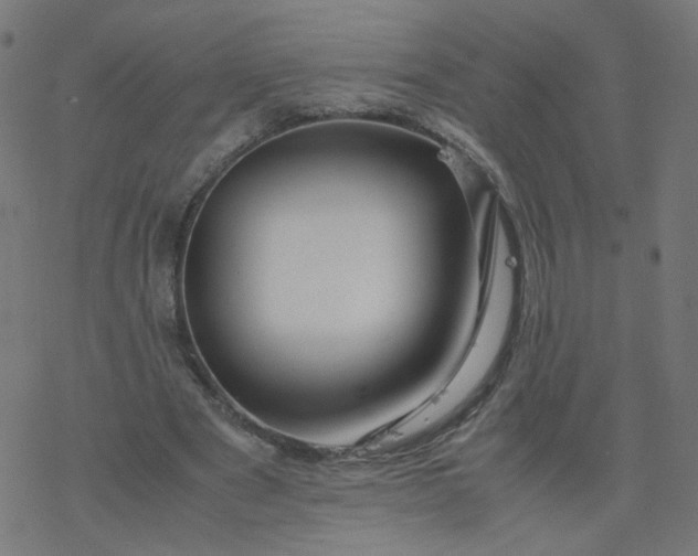 X0000077360489200611031850