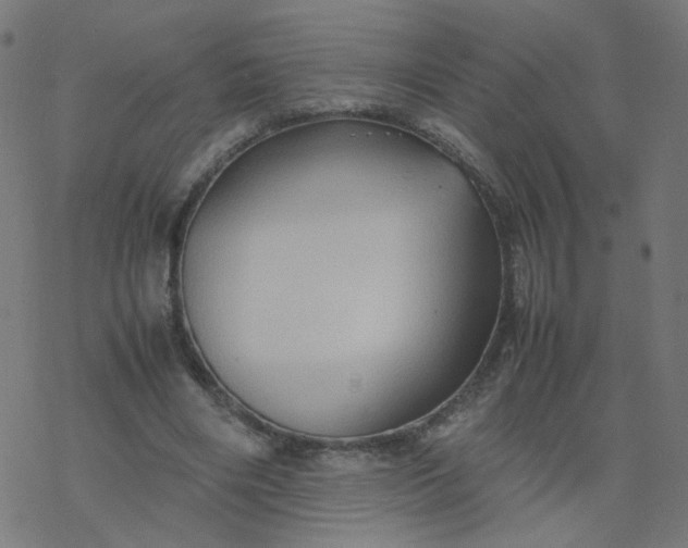 X0000077360490200611031850