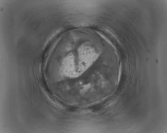 X0000077360491200611031850