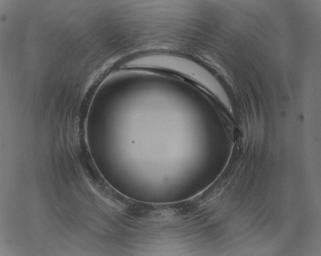 X0000077360492200611031850