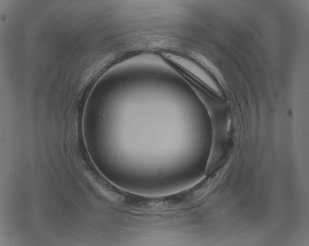 X0000077360493200611031850