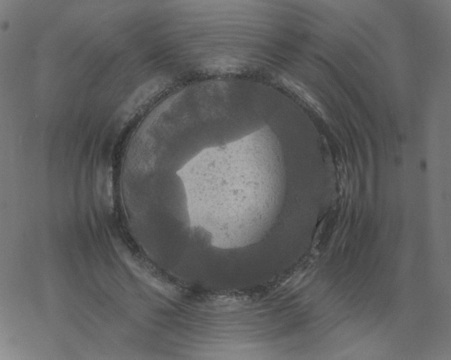 X0000077360494200611031850