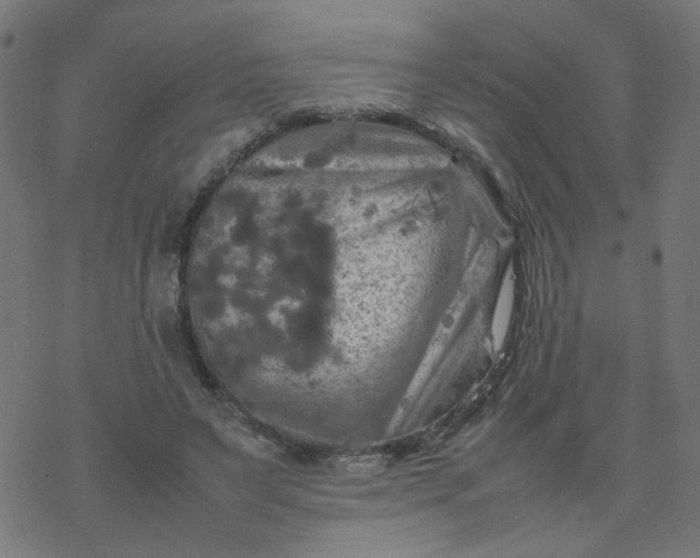 X0000077360495200611031850