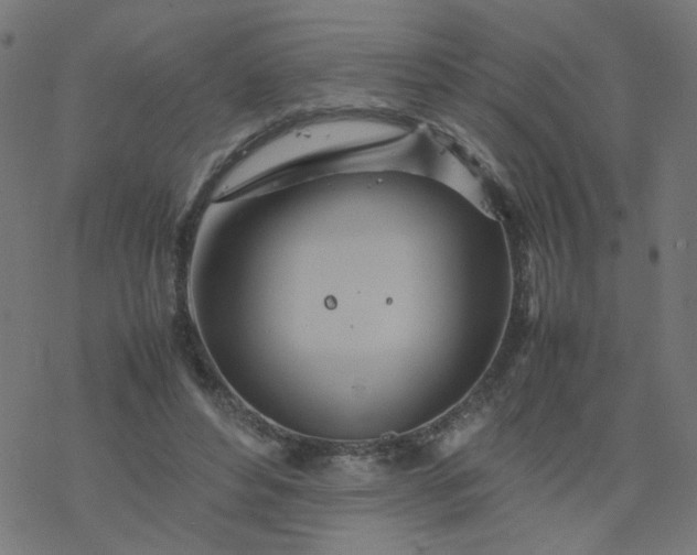 X0000077360496200611031850