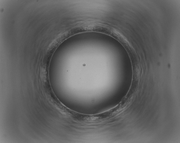 X0000077360497200611031850