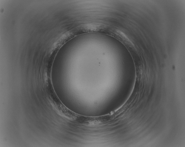 X0000077360500200611031850