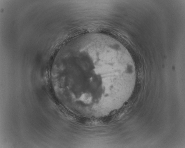 X0000077360503200611031850