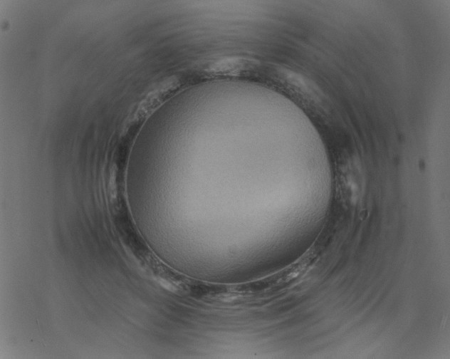 X0000077360504200611031850