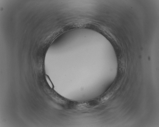 X0000077360505200611031850