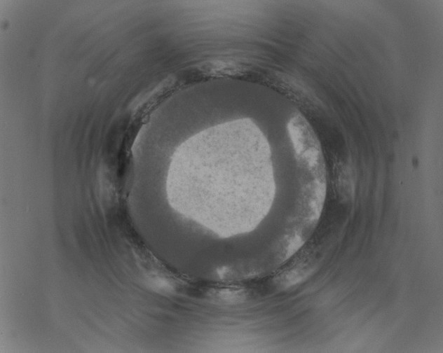 X0000077360506200611031849