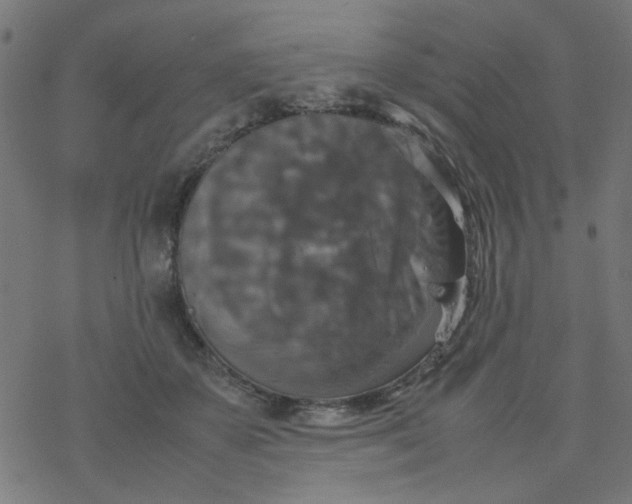 X0000077360507200611031849