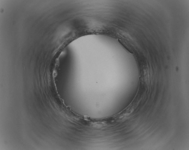 X0000077360508200611031849