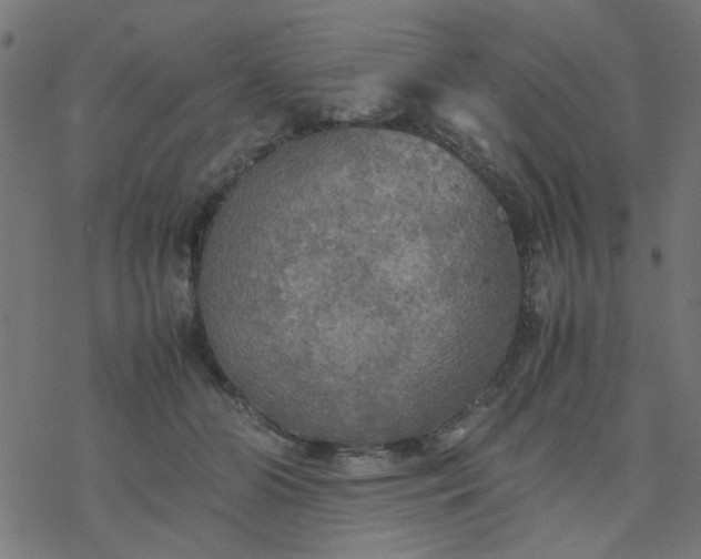 X0000077360510200611031849