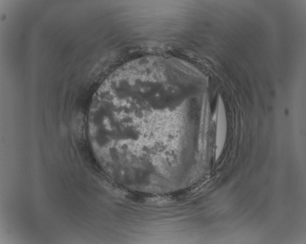 X0000077360511200611031849