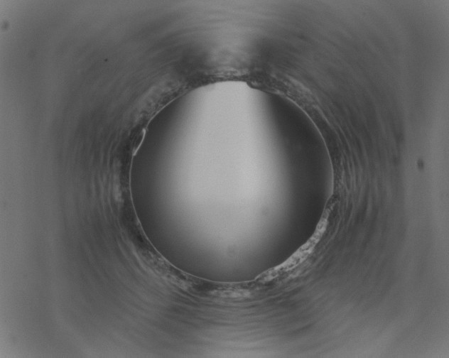 X0000077360512200611031849