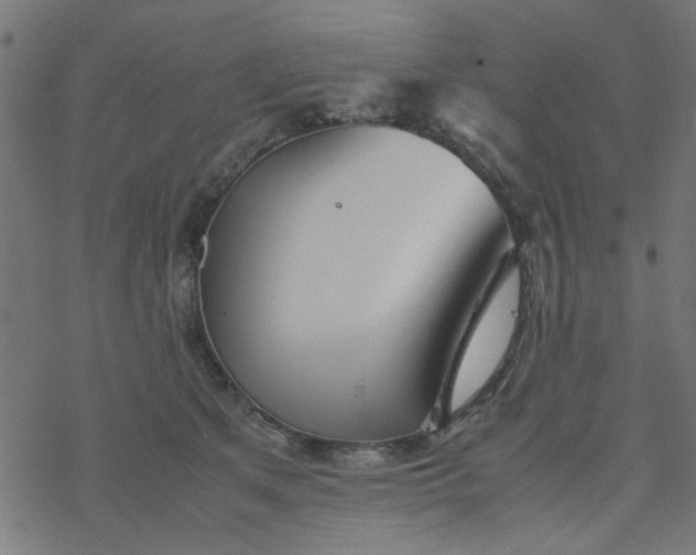 X0000077360513200611031849