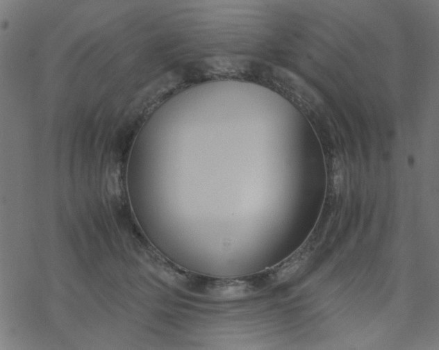 X0000077360514200611031849