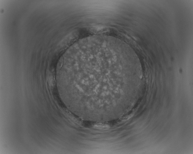 X0000077360515200611031849