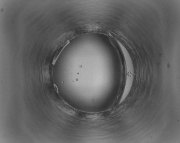 X0000077360516200611031849