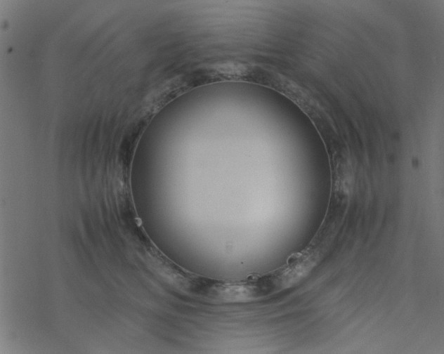 X0000077360518200611031849