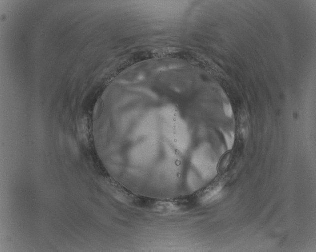 X0000077360519200611031849