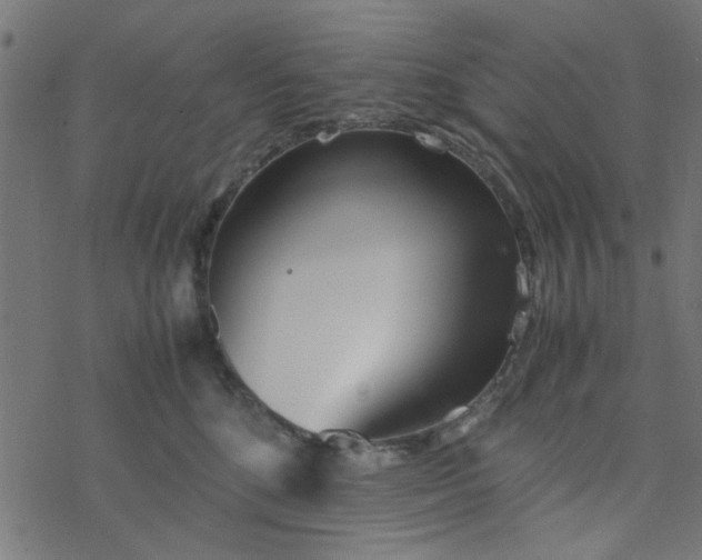 X0000077360520200611031849